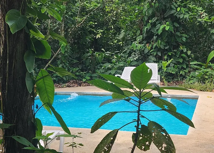 Peaceful Jungle Villa Cooper - Pool & Parking For 2 Persons