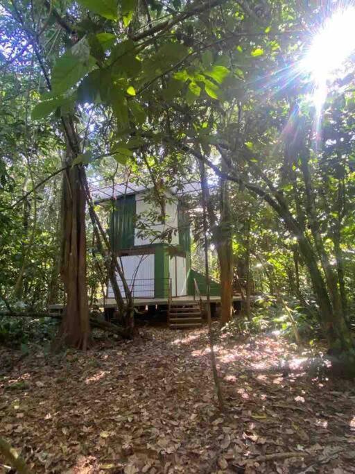 Peaceful Jungle Cooper - Pool & Parking For 2 Persons