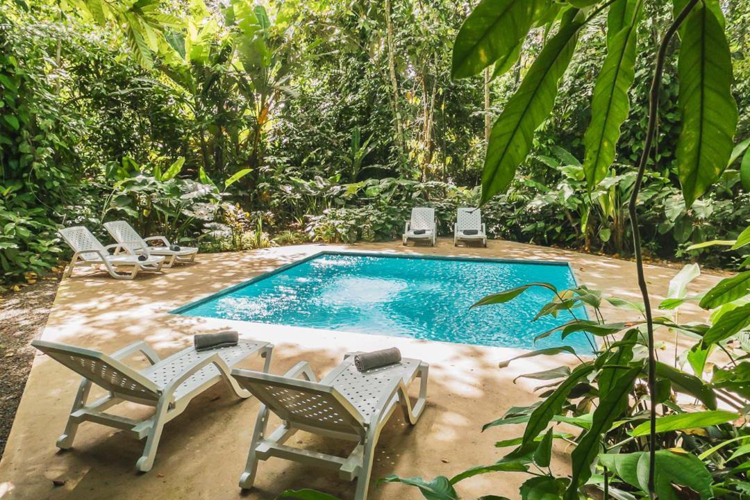 Peaceful Jungle Cooper - Pool & Parking For 2 Persons * Puerto Viejo de Talamanca